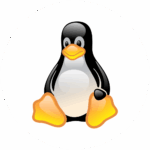 Downloading MT5 for Linux